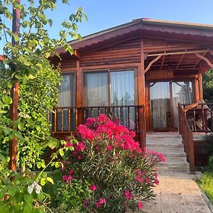 Tek Yatak Odalı Bungalov